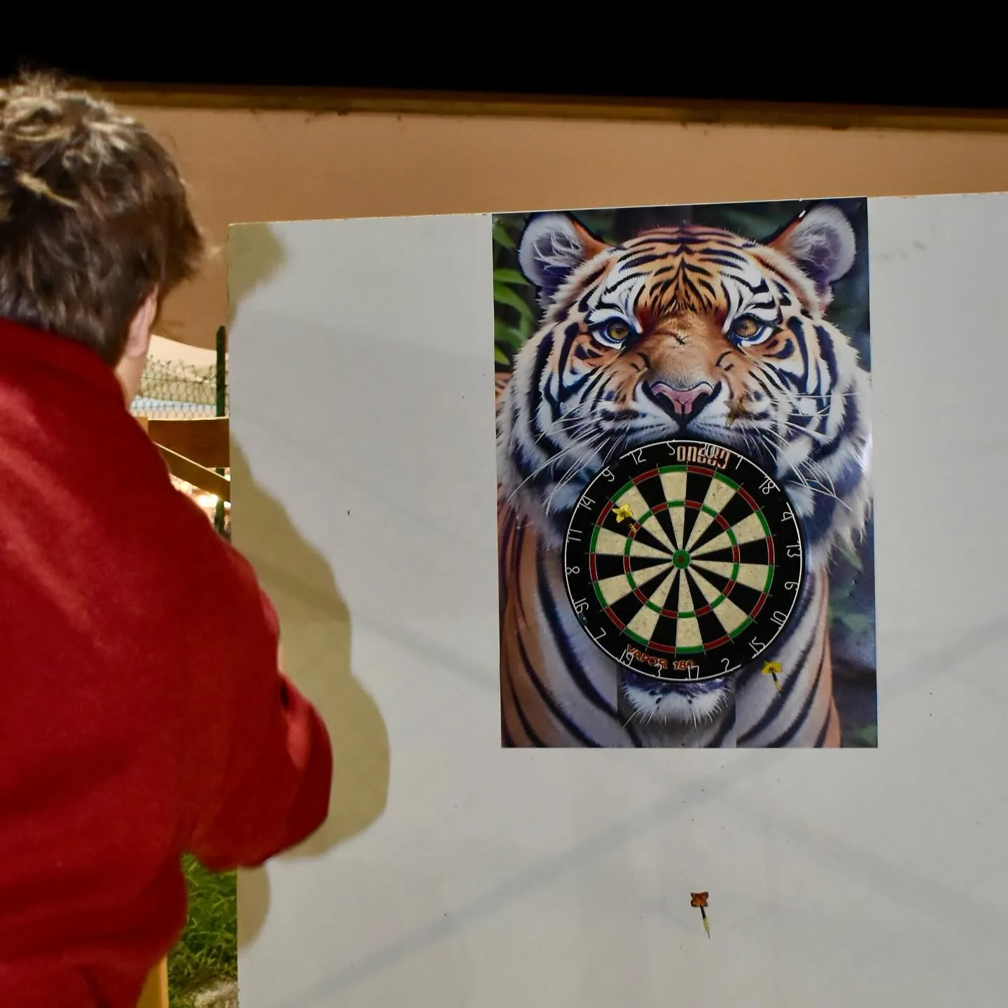 Bersaglio delle freccette dipinto con una tigre